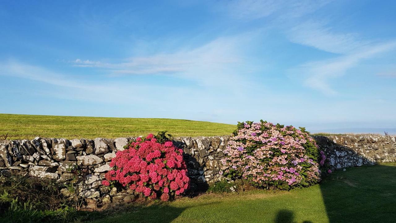 Isle of Whithorn 31 Laigh Isleヴィラ エクステリア 写真
